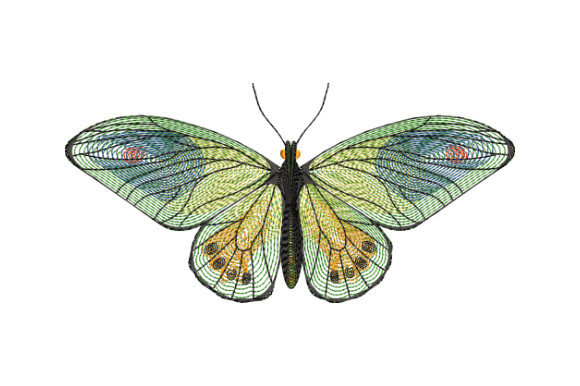 Graceful Green Butterfly Embroidery Review