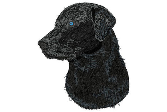 Labrador Retriever Looking to the Side Embroidery Review